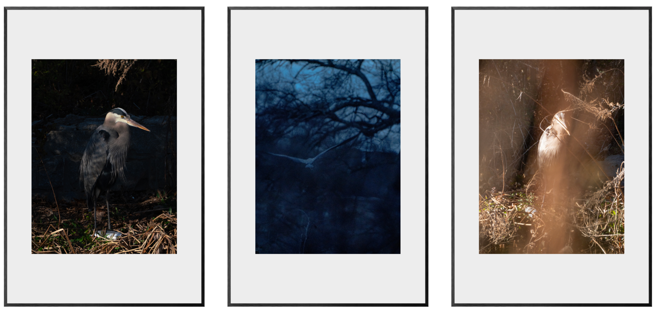 HERODIAS IN AN INTERVIEW