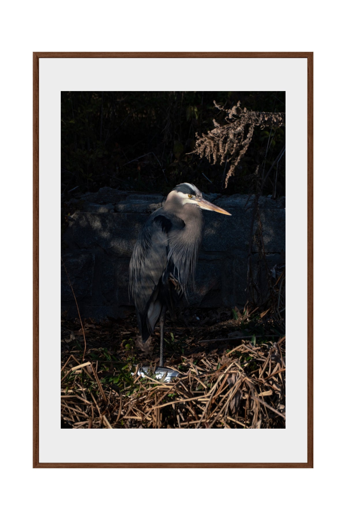 PORTRAIT OF HERODIAS 2026