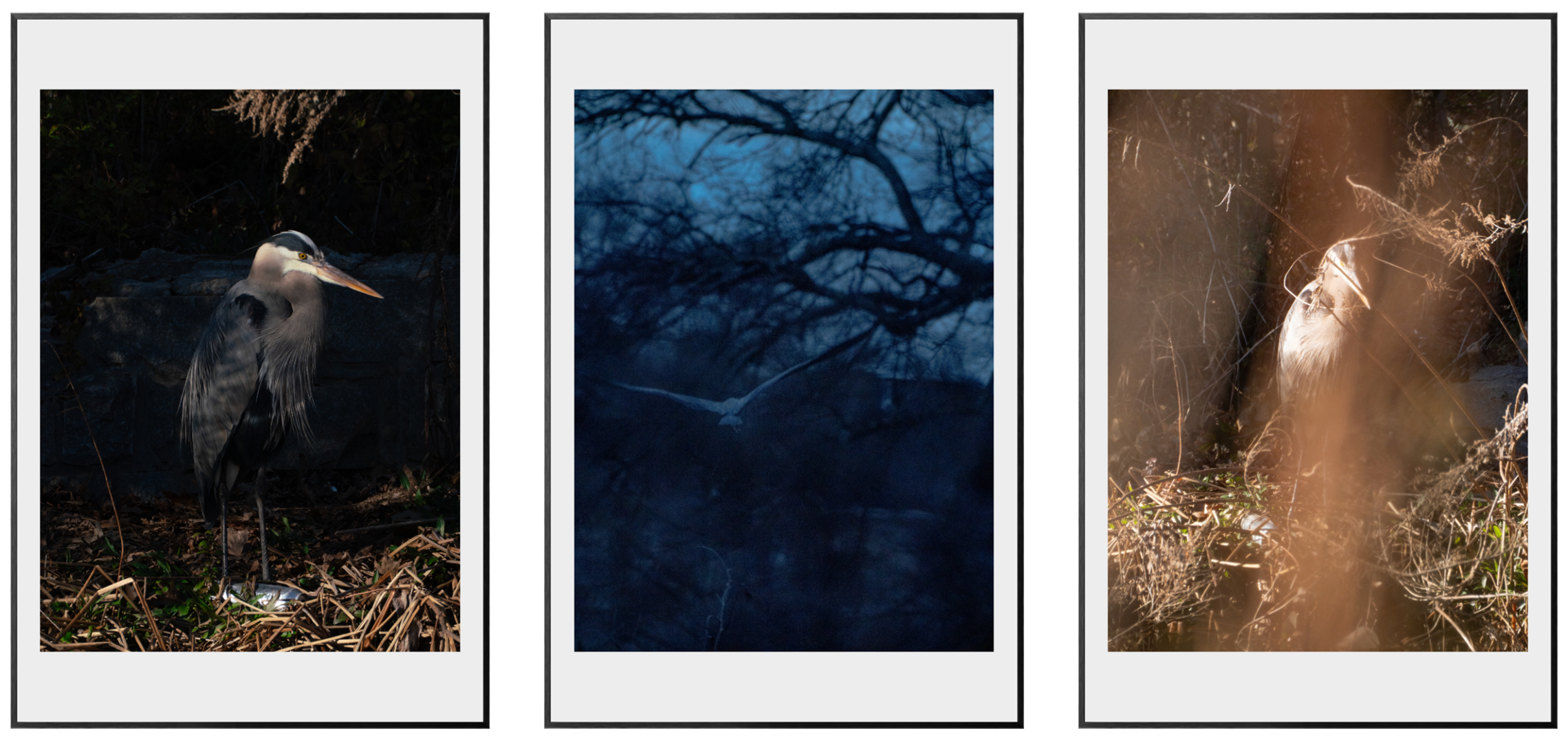 HERODIAS IN AN INTERVIEW