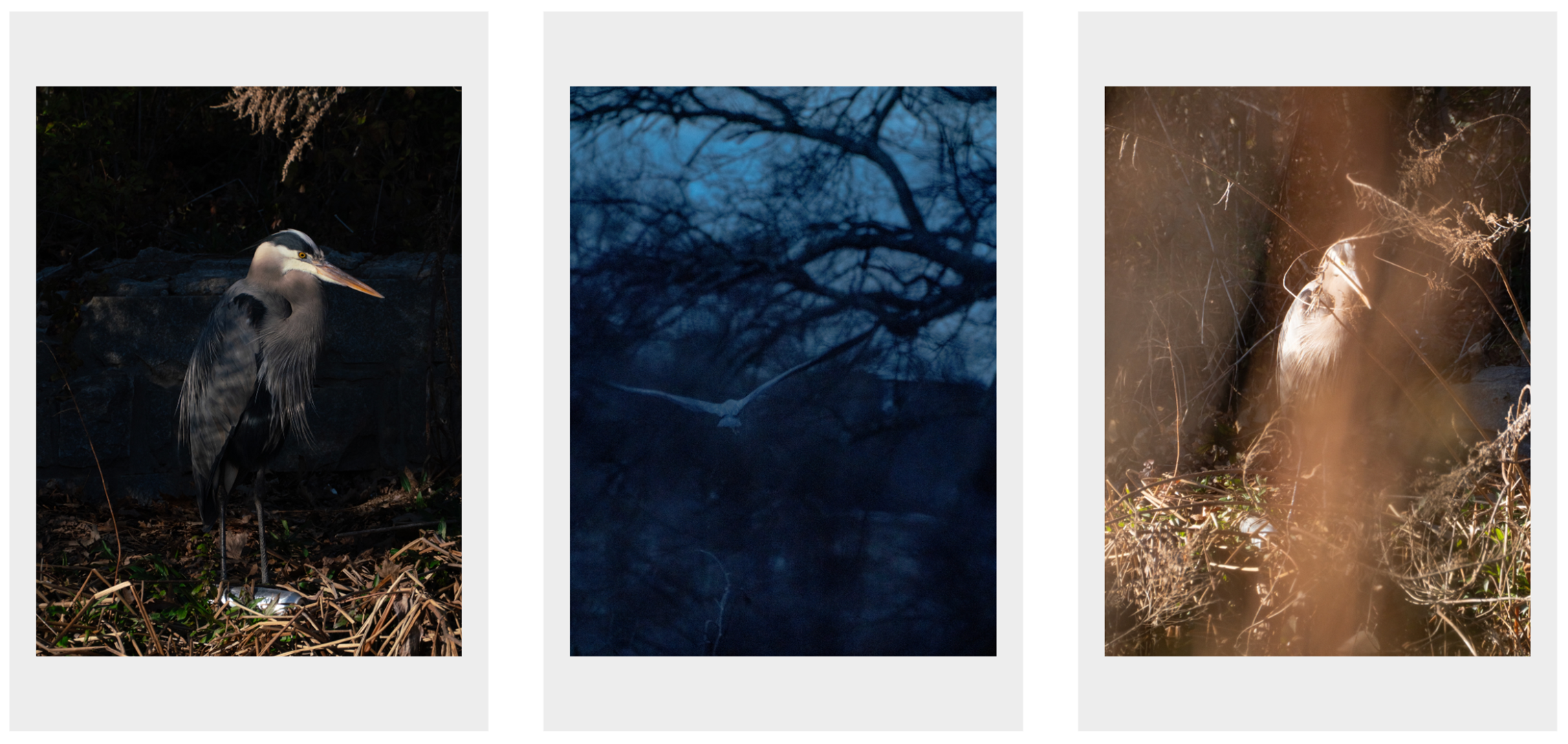 HERODIAS IN AN INTERVIEW