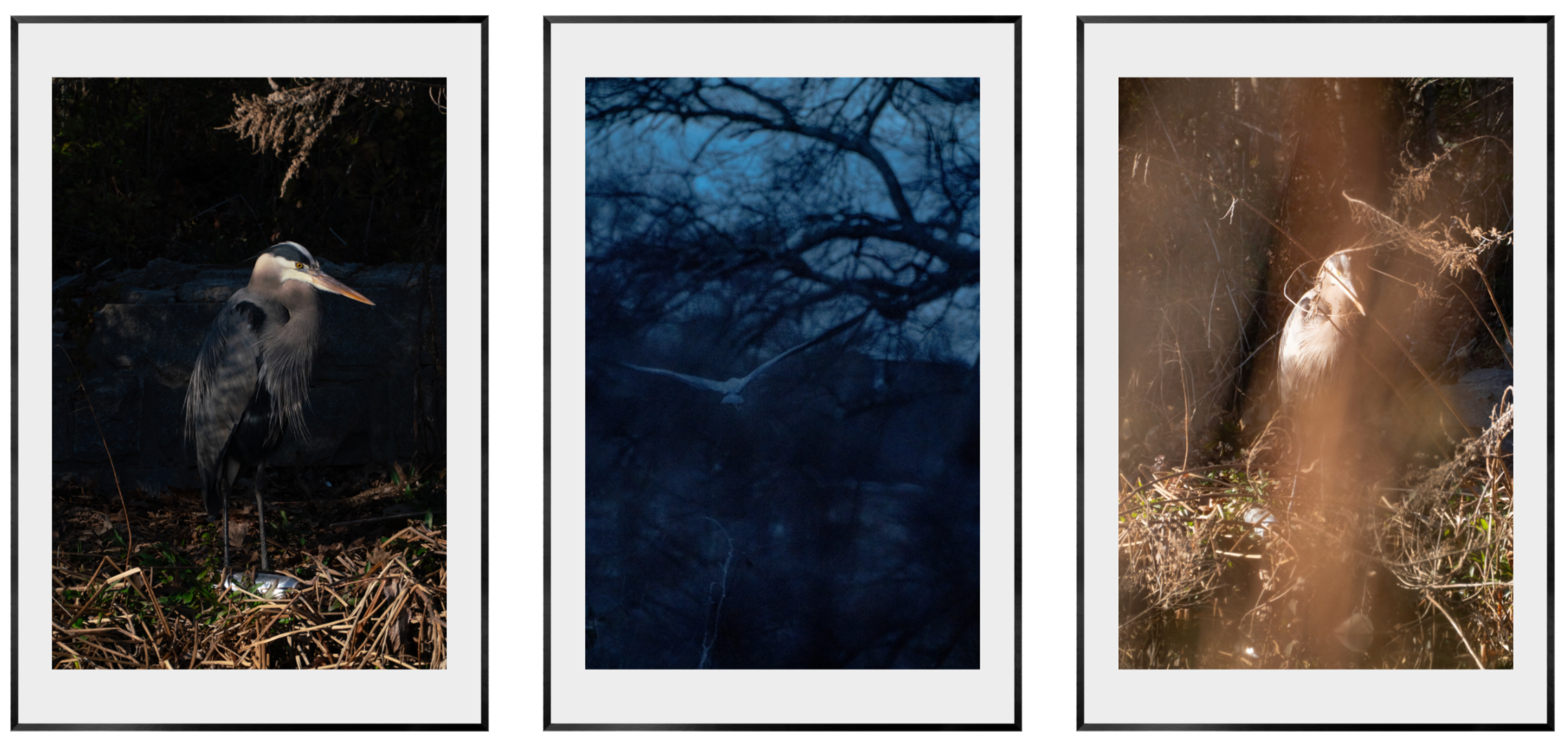 HERODIAS IN AN INTERVIEW