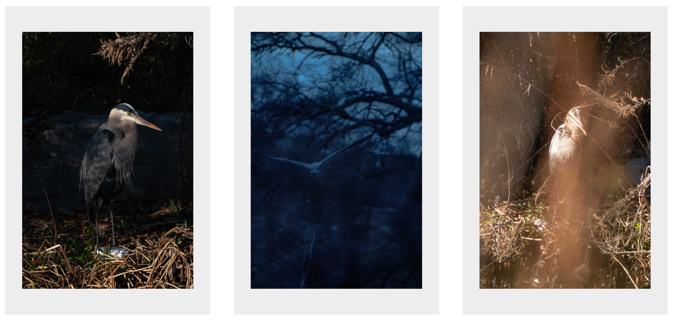 HERODIAS IN AN INTERVIEW