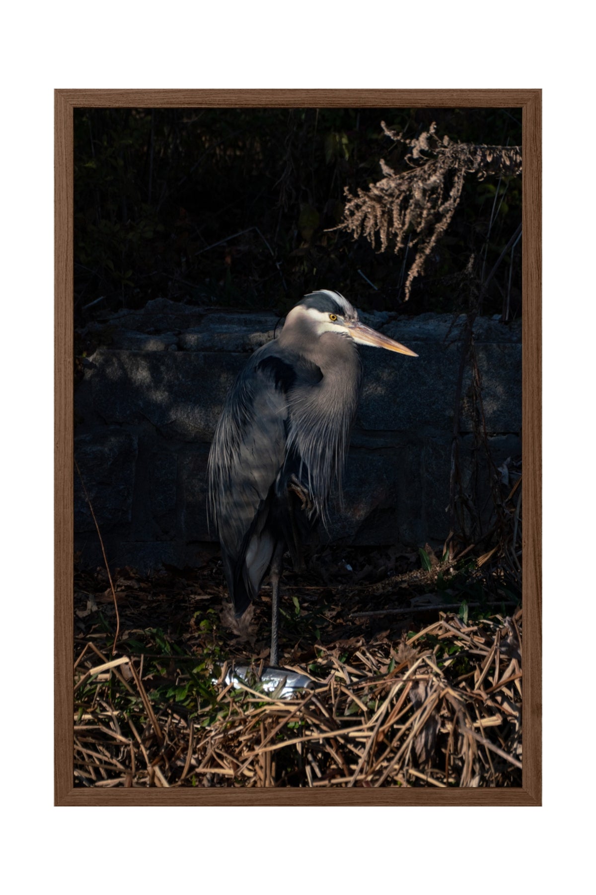 PORTRAIT OF HERODIAS 2026