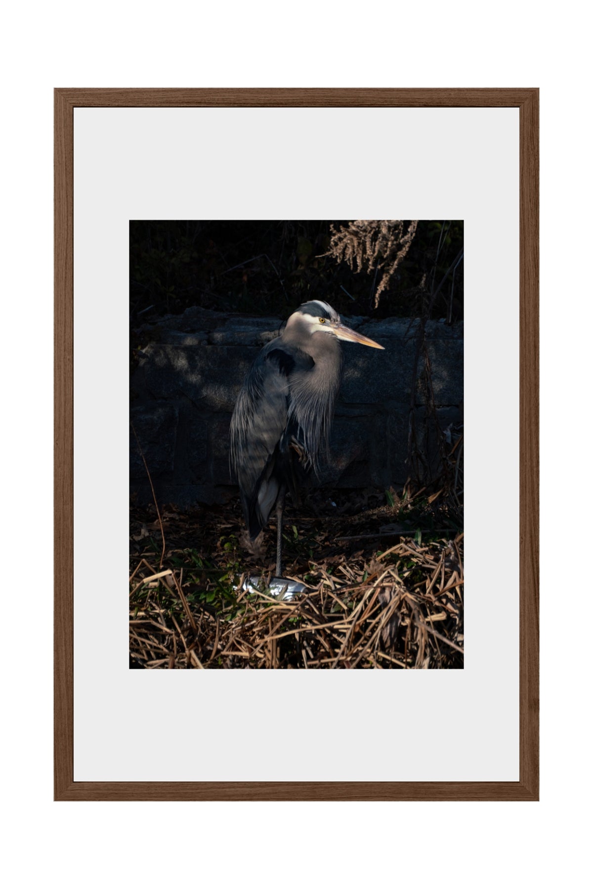 PORTRAIT OF HERODIAS 2026