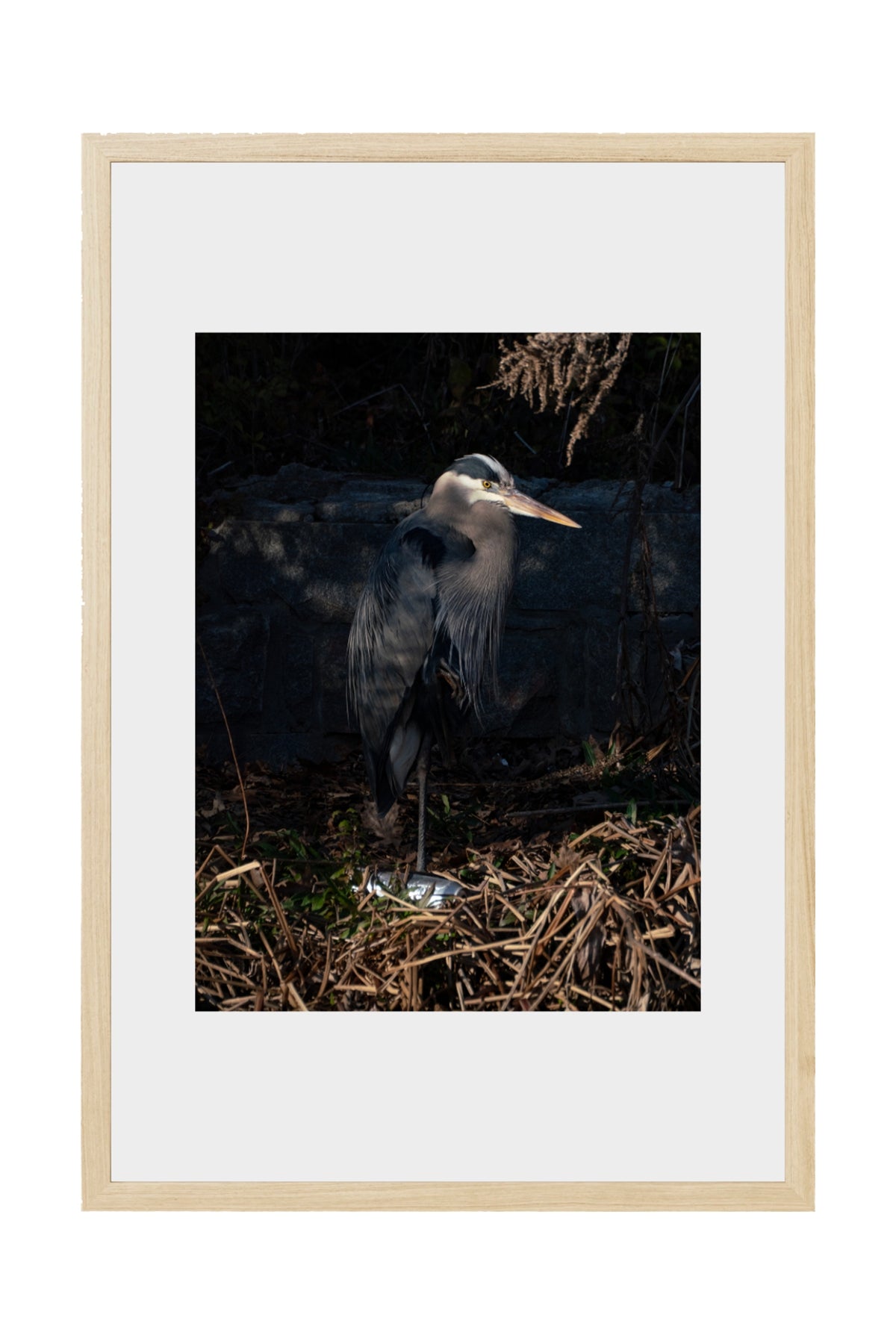 PORTRAIT OF HERODIAS 2026